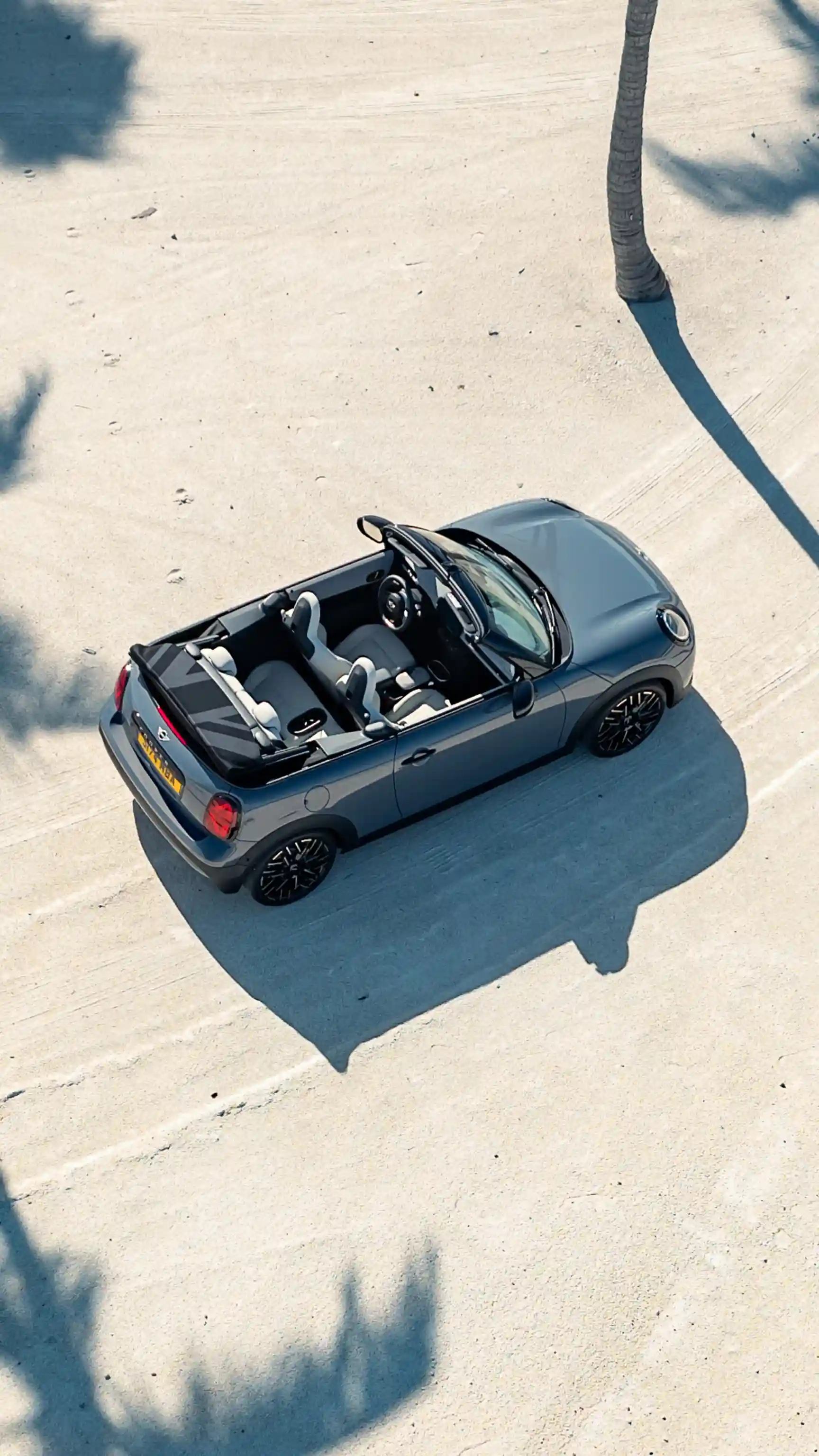 MINI Cooper Cabrio - Palmeras