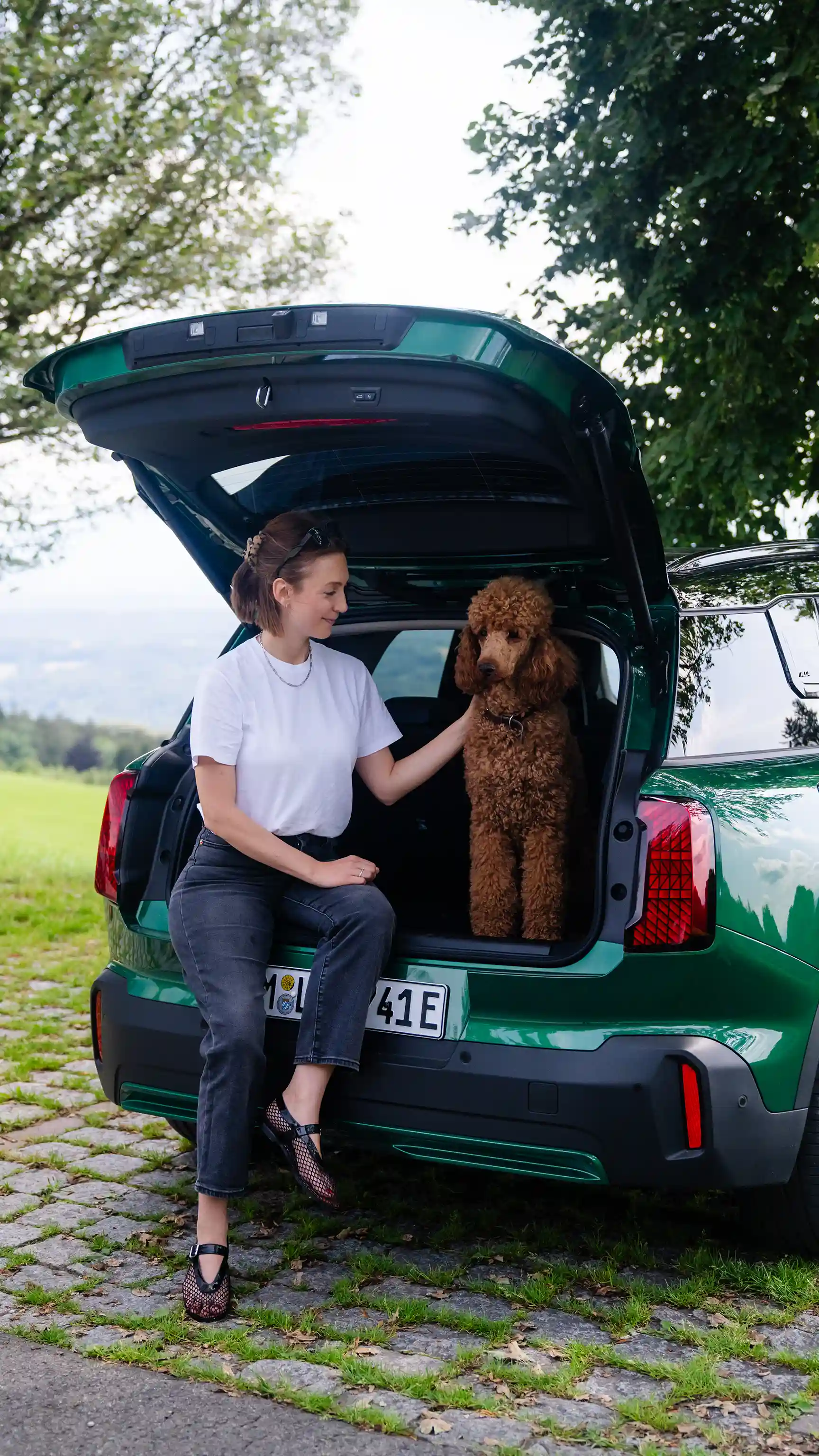 MINI Countryman 100% eléctrico - Perro en maletero