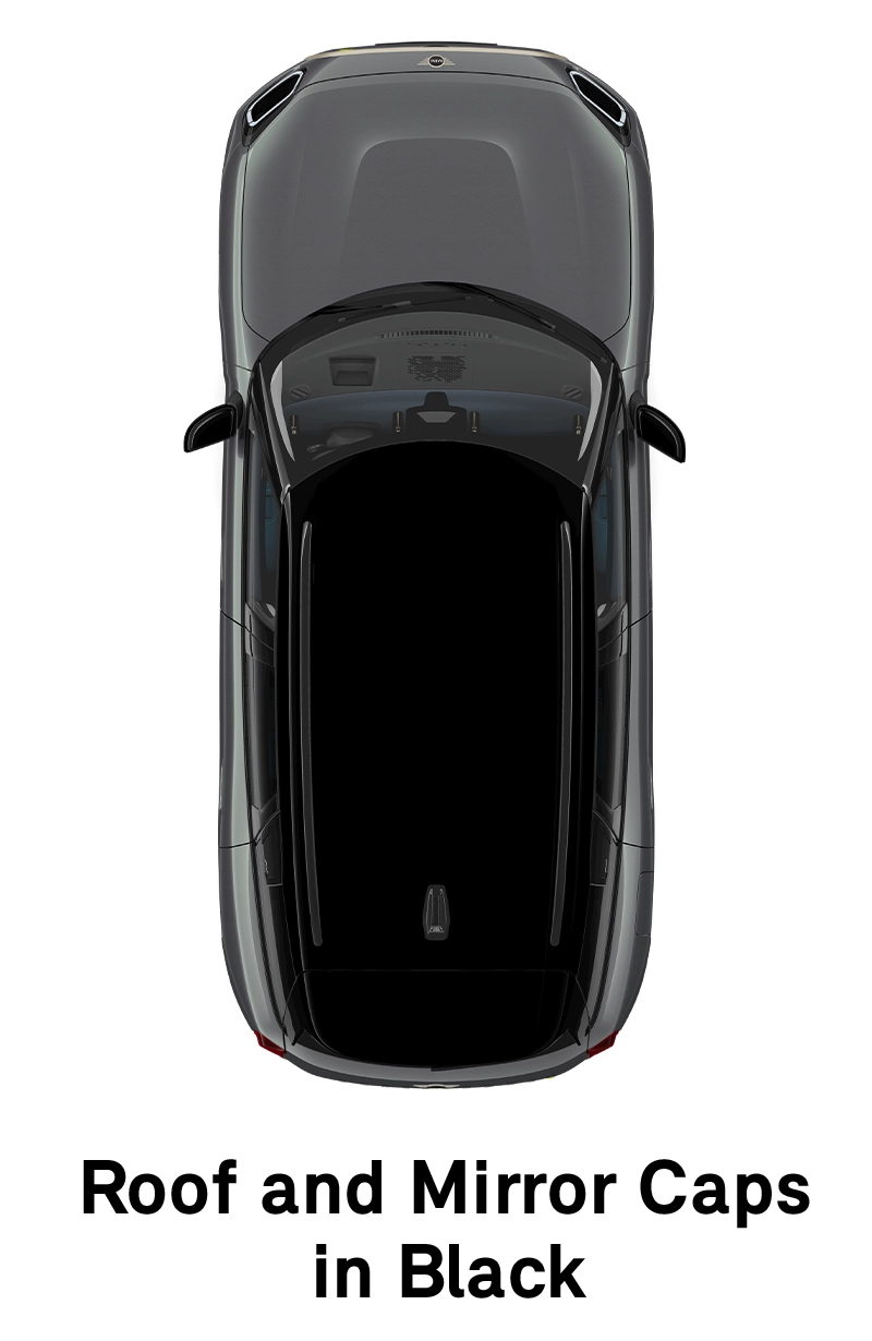  MINI - equipamiento - estilo favoured - techo en negro