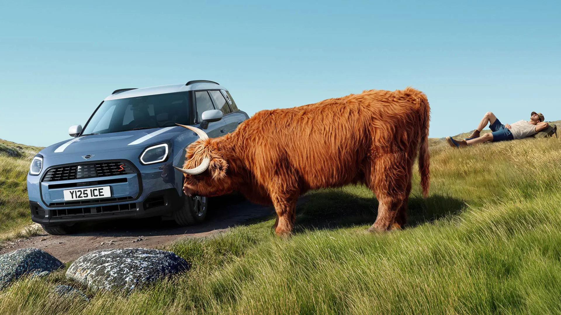 Un MINI Countryman pasa junto a una vaca que pasta tranquilamente en los alrededores. Con Proactive Care, nosotros nos encargamos de todo para que tú solo tengas que conducir.