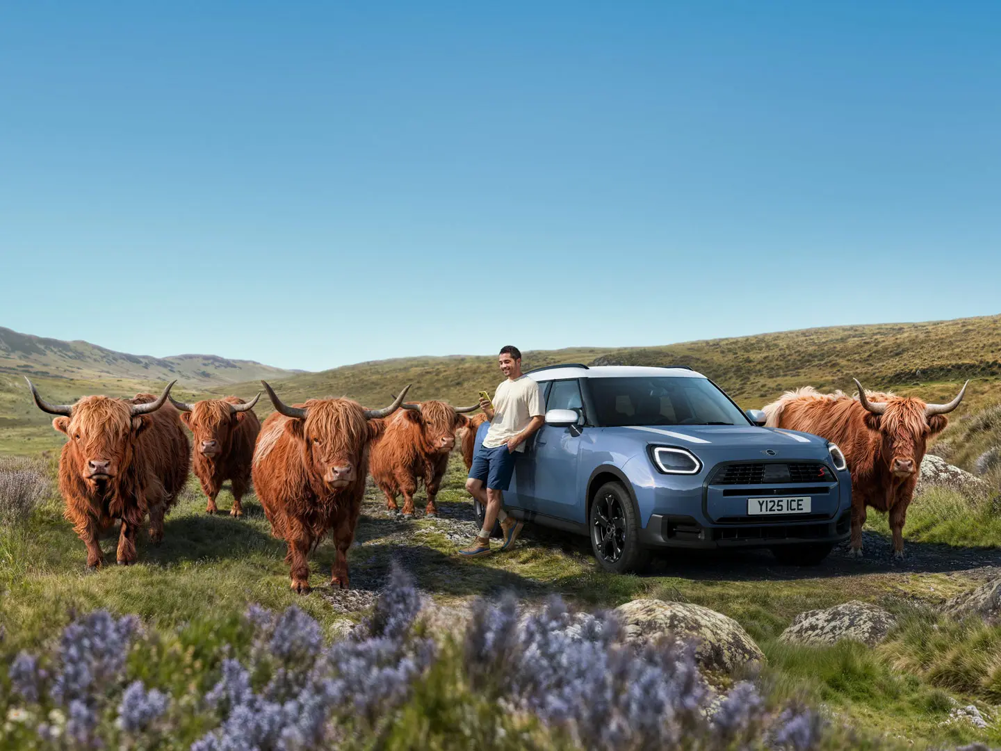 Un hombre se apoya relajadamente sobre su MINI Countryman S ALL4 rodeado de vacas de las tierras altas en un terreno montañoso.