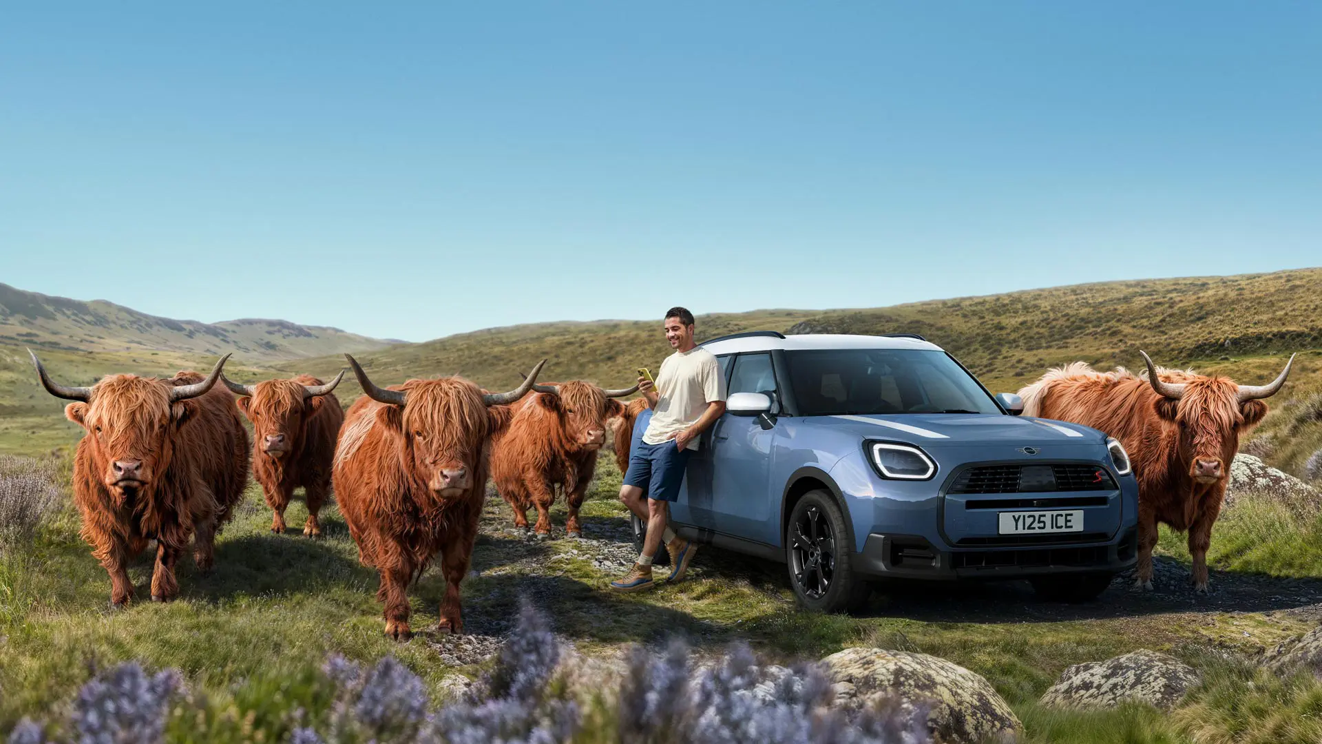 Un hombre se apoya relajadamente sobre su MINI Countryman S ALL4 rodeado de vacas de las tierras altas en un terreno montañoso.